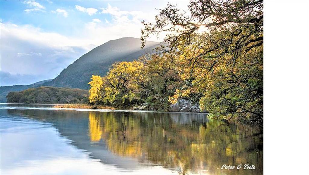 Inch View Lodge Milltown  Εξωτερικό φωτογραφία